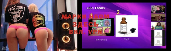 мяу мяу мука Абаза