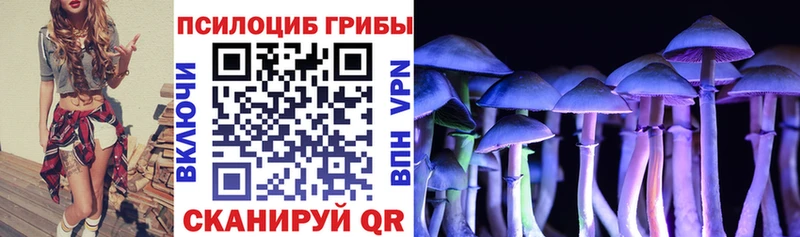 Псилоцибиновые грибы Magic Shrooms  где купить наркотик  Хасавюрт 