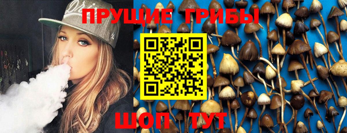 Псилоцибиновые грибы Cubensis Хасавюрт